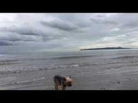 A short video capturing the healing vibrations of the sea. A short video capturing the healing vibrations of the sea.
