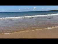 Chanting with the energy of Wind and Sea Chanting with the energy of Wind and Sea