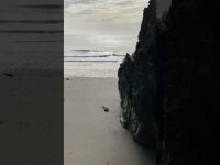 ‘I truly am Divine’ Chant with healing sun and the healing sound of waves🙏 ‘I truly am Divine’ Chant with healing sun and the healing sound of waves🙏