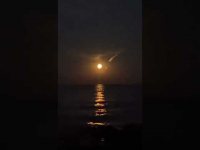Chanting my gratitude with the healing sound of the sea energy, under the healing super moon 🌙 Chanting my gratitude with the healing sound of the sea energy, under the healing super moon 🌙