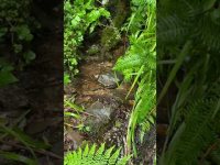 Natural Healing Water vibrations from Ireland Natural Healing Water vibrations from Ireland