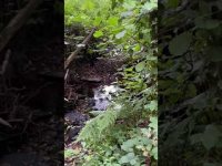 1:15 of healing water energy @RetuningME 1:15 of healing water energy @RetuningME