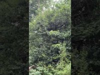 The Natural Healing Energy of Rainfall The Natural Healing Energy of Rainfall