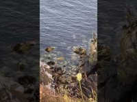 Healing Water Energy from South East Ireland Healing Water Energy from South East Ireland