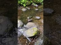 Natural Healing Water vibrations of Ireland Natural Healing Water vibrations of Ireland
