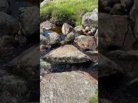 Natural Healing water sounds from Glendalough, Co Wicklow