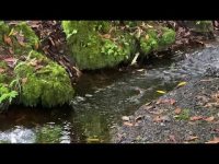 Natural Healing Water Vibrations