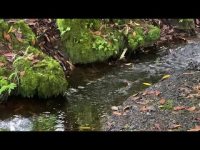 Natural Healing Water Vibrations Natural Healing Water Vibrations