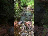 1 Minute of Natural Flowing Water @RetuningME 1 Minute of Natural Flowing Water @RetuningME