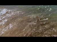 Two and a half minutes of Sea Energy Two and a half minutes of Sea Energy