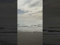 Chant I truly Am Grateful with Sea Energy Chant I truly Am Grateful with Sea Energy