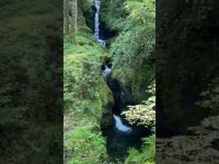 Natural Healing Water Sounds from Glendalough, County Wicklow
