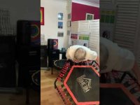 Comparing a Cheap Bungee Rebounder with a Good Bungee Rebounder Comparing a Cheap Bungee Rebounder with a Good Bungee Rebounder