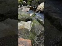 Just 1 minute of retuning with water energy from Glendalough, Co Wicklow. Just 1 minute of retuning with water energy from Glendalough, Co Wicklow.