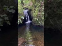 1 Minute if natural flowing water to help you rebalance your energy🙏 @RetuningME 1 Minute if natural flowing water to help you rebalance your energy🙏 @RetuningME